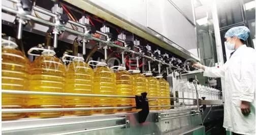 了解壓榨 浸出 精煉工藝出來的油 到底有什么區別？(圖4)
