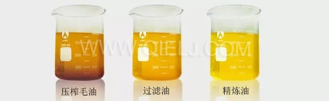 了解壓榨 浸出 精煉工藝出來的油 到底有什么區別？(圖1)